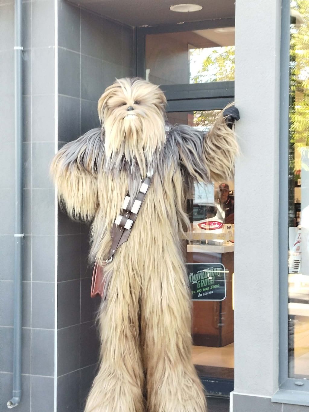 690656640 994325186862044 7317679730643698452 n